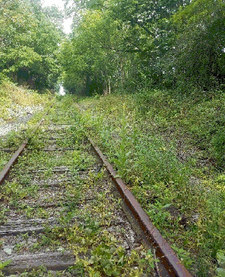 trainohio4