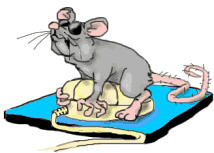 mouse