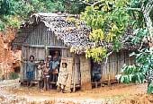 Ligne ferroviaire FCE (Fianarantsoa Cote Est) : Train Fianarantsoa - Manakara� en photo et images, conseils