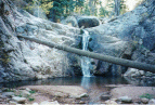 One of the obstacles descending Rock Creek - a waterfall