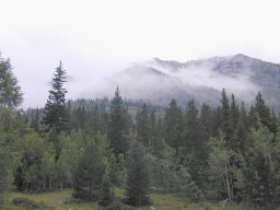 Mist hangs in the air in the valley under Pearl Pass