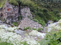 Looking down into Montezuma creek in the Pearl Pass valley