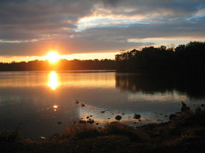 Ducks at sunset on Rockland Lake, Nyack, NY