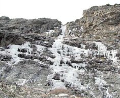 borrowed picture of All Mixed Up, in much nicer conditions