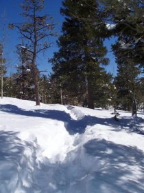 The trail beyond Barr Camp looked something like this; but worse (not my picture)