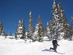 Sean gets down on a bluebirrd day at Steamboat