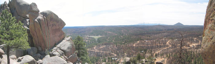 Turkey Rock estates, deforested