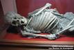 Pointez ou cliquez 5min sur ce cadavre exhum�, puis d�cliquez, puis d�pointez l'image.