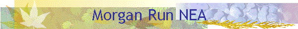 Morgan Run NEA
