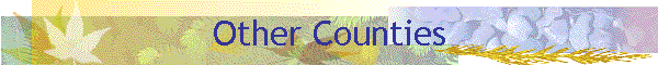 Other Counties