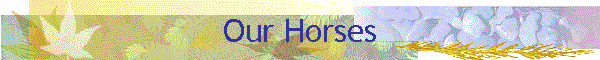 Our Horses