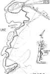 pineybot.jpg (78592 bytes)