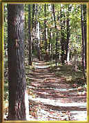 rockburn3.jpg (59293 bytes)
