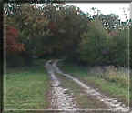 rockburn6.jpg (22215 bytes)