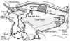 vforgemap.jpg (103710 bytes)