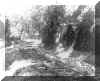 0105-PedraBranca_Horto_col_JCP.JPG (42710 bytes)