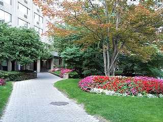 Translat Corporation