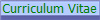 Curriculum Vitae