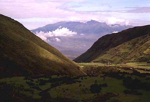 another view
