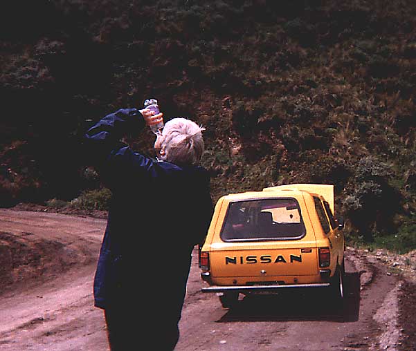 ellen and taxi