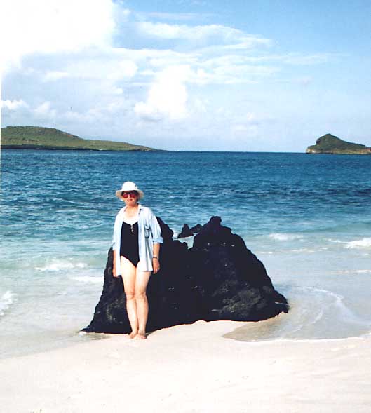 black volcanic rock