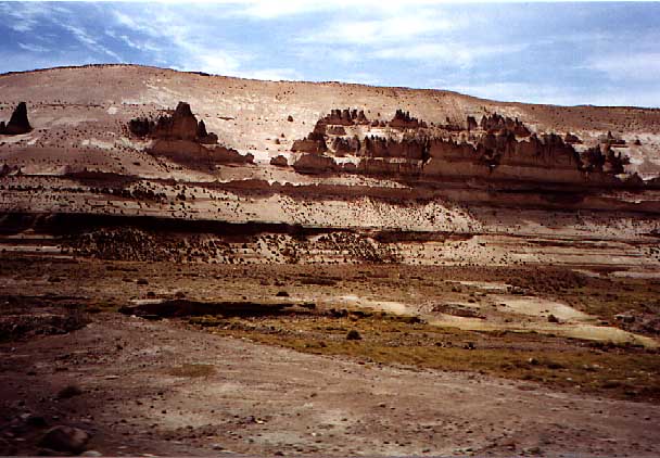 rock forrest