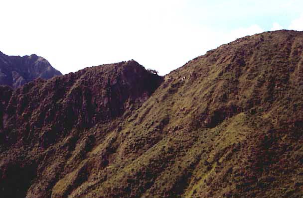 trail
