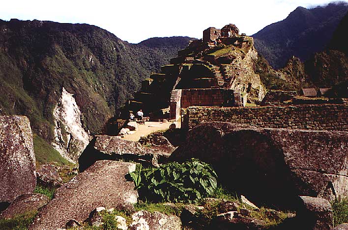 The top