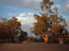Burke & Wills campsite, Menindee