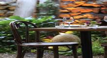 Tree Bistro