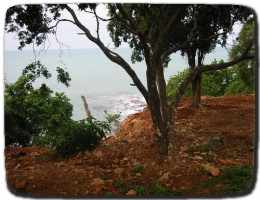 Treasure Beach Today Biking