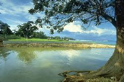 Treasure Beach Today Mandeville Golf