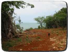 Treasure Beach Today Hiking