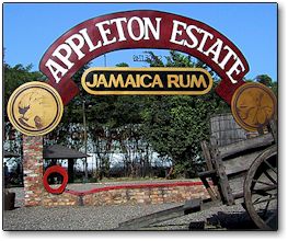 Treasure Beach Today Appleton Rum Factory
