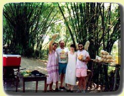 Treasure Beach Today Bamboo Avenue