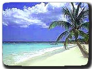 Treasure Beach Today Negril Day Trip
