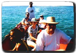 Treasure Beach Today Boat Tours