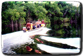 Treasure Beach Today Boat Tours
