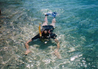 Treasure Beach Today Snorkeling