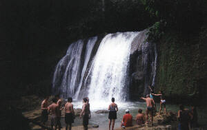Treasure Beach Today YS Falls