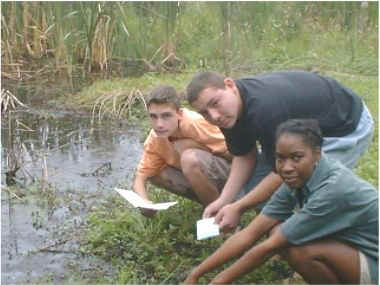 wetlands study