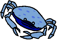 crab