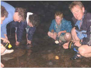 rock pools