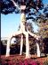 circus-4leggedgiant.jpg