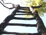 ladder.jpeg