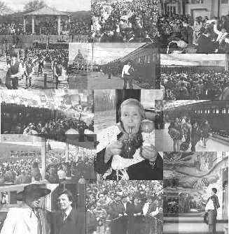 collage2.jpg (25128 bytes)