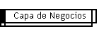 Capa de Negocios