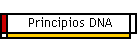 Principios DNA