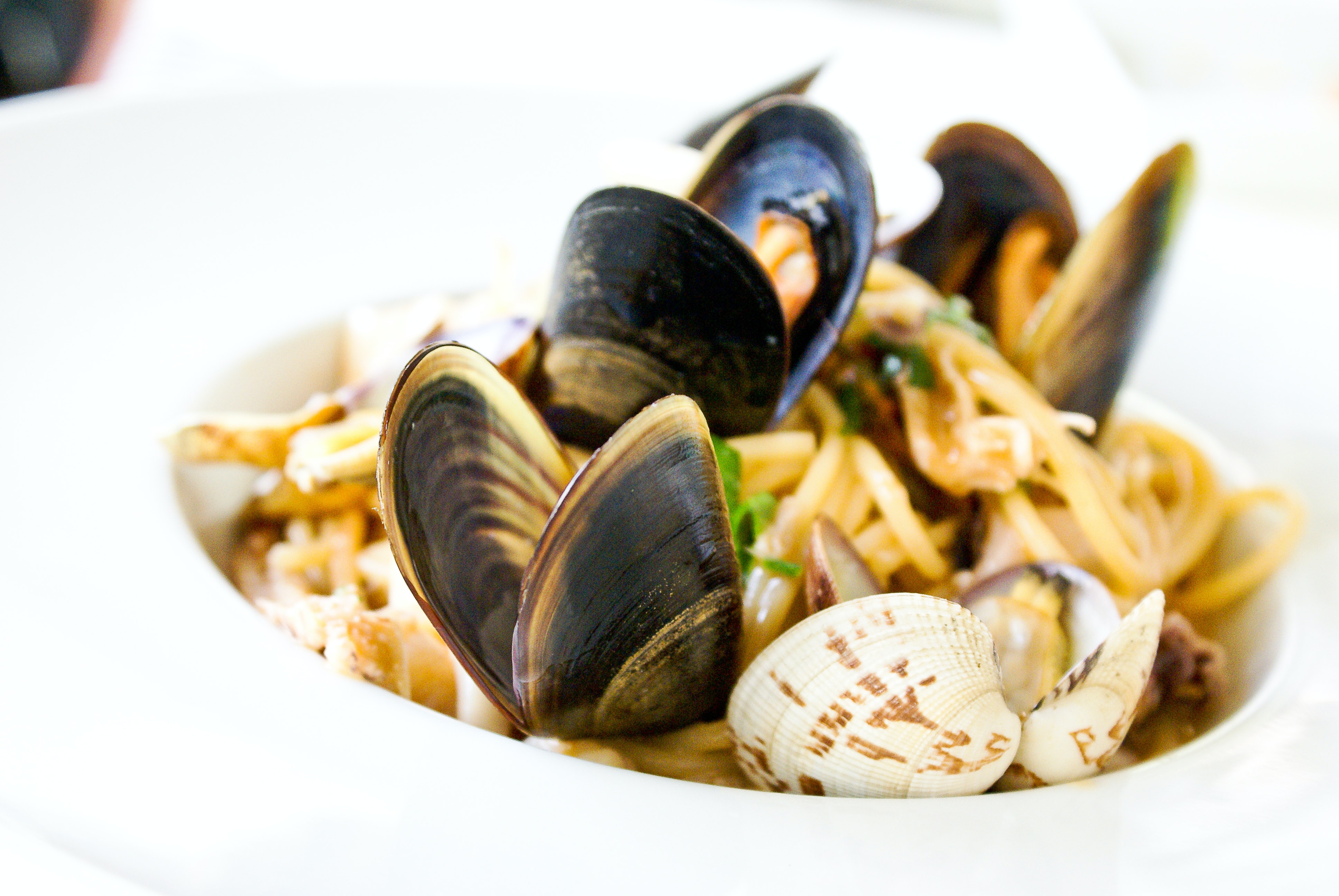 clam spaghetti