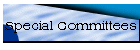 Special Committees